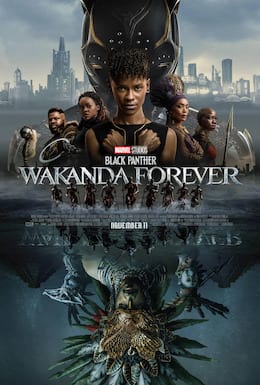 Black Panther 3 poster